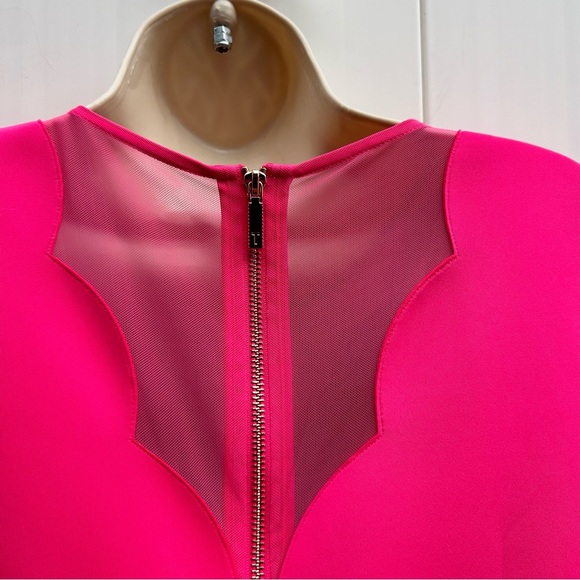 Ted Baker Sharlot Fit & Flare Pink Cap Sleeve Mesh Panel Dress | Size Medium - Picture 10 of 16